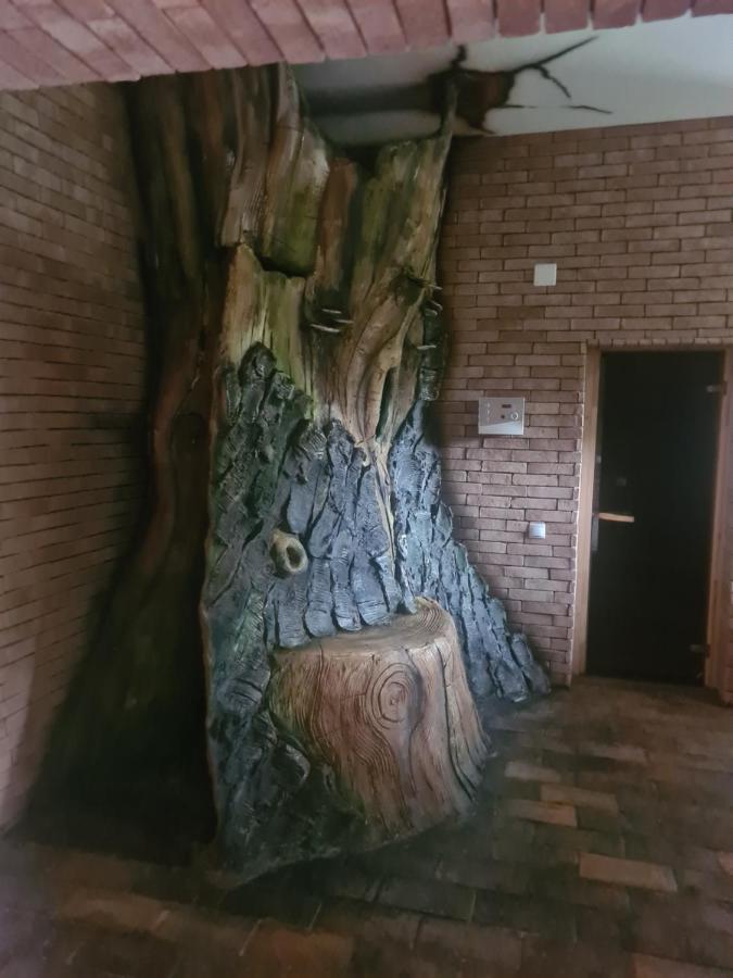 Vila Vraja Muntelui 莫伊西德约斯 外观 照片